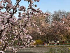 -元大都城垣遗址公园