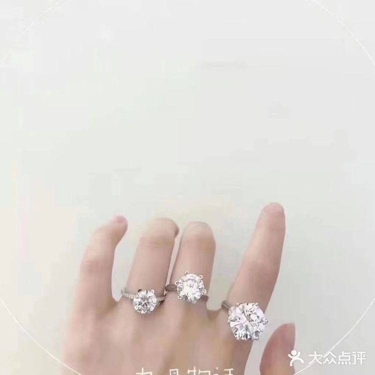 鸽子蛋了解一下