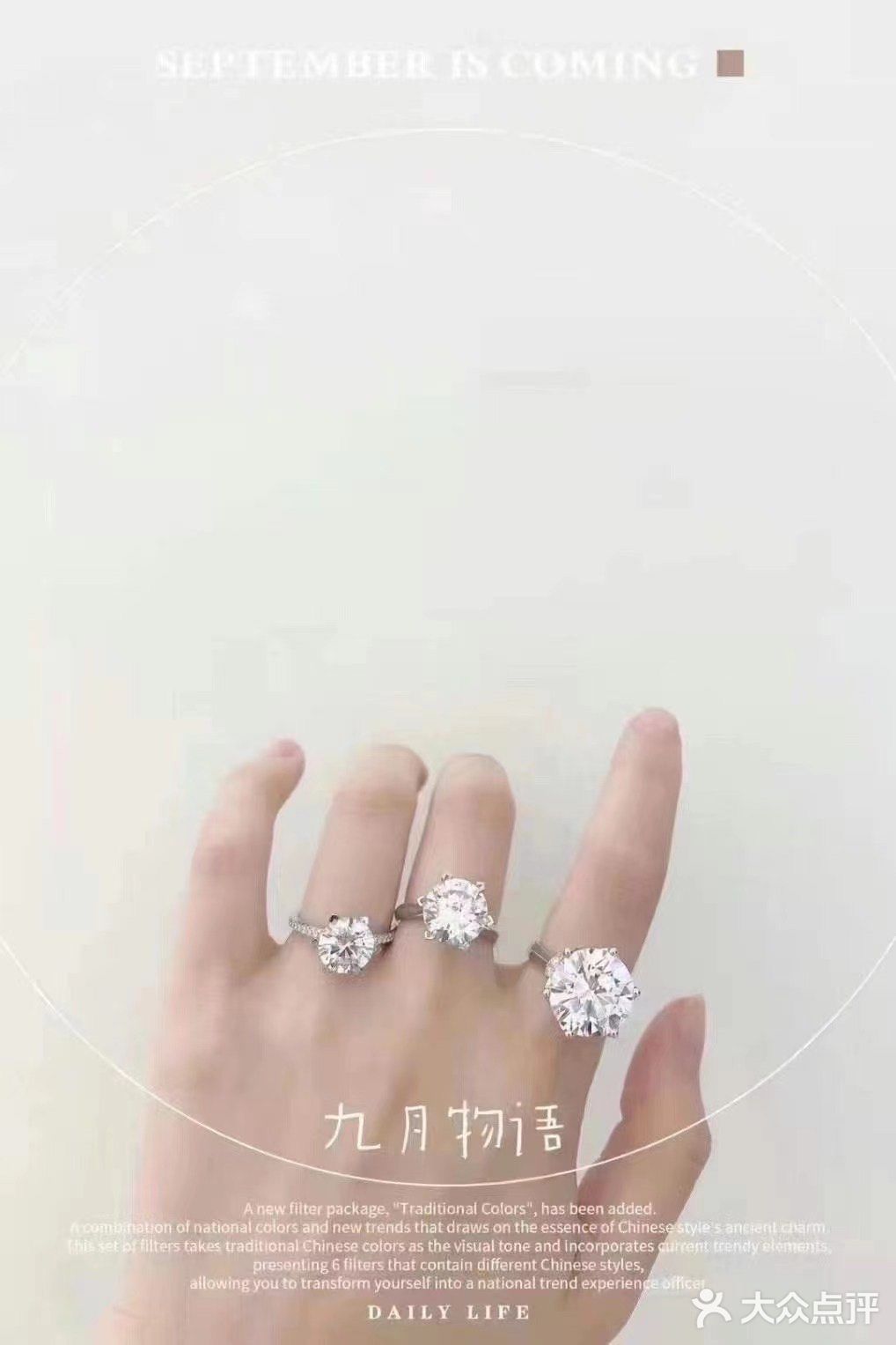 鸽子蛋了解一下