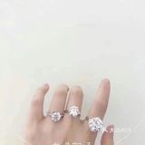 鸽子蛋了解一下