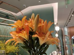 -南堂馆·新川菜(春熙路店)