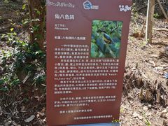 -广州市流溪河国家森林公园