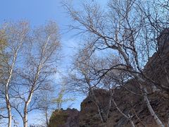 -御道口草原森林风景区