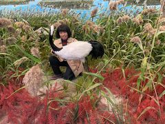-盐城丹顶鹤湿地生态旅游区