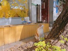 -五进制 Coffee Shop