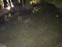 -厦门日月谷温泉渡假村