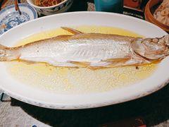 鸡汁白鱼-南京大牌档(青岛万象城店)