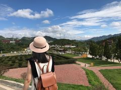 -玉舍国家森林公园