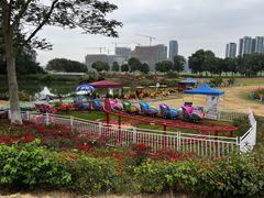 -光明小镇欢乐田园