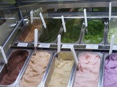 -鹤茶野所(上海首店)