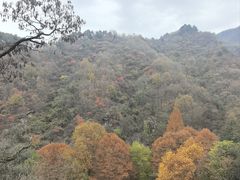 -秦岭终南山世界地质公园翠华山景区
