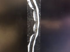 -北京派仕佳德动物医院·超导核磁·CT·神经科·骨科·内外科·急重症管理中心