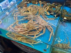 -粤盛海鲜平价店(洛溪食街店)