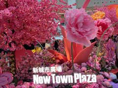 -新城市广场