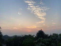 -仙岳公园