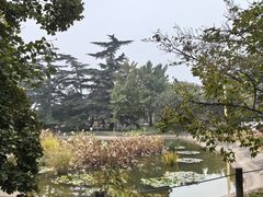 -国家植物园南园