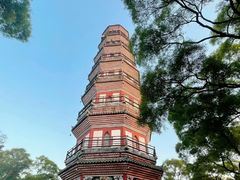 -顺峰山公园