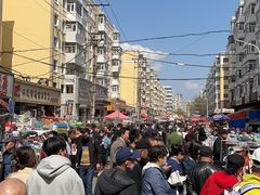 -哈尔滨道外花鸟鱼市场