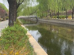 -元大都城垣遗址公园