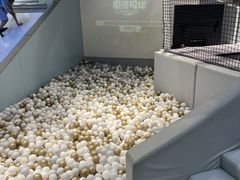 -森林象亲子餐厅·儿童生日会