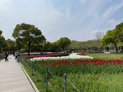 -大宁公园