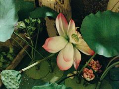 -怡泰SPA·泰疗按摩(徽宁路店)
