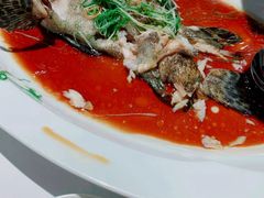 清蒸老虎斑-伯衡55·吉品轩(乌鲁木齐南路店)