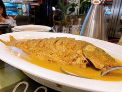 红烧黄河大鲤鱼-阿庄新豫菜(通泰路店)