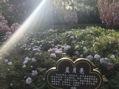-洛阳市隋唐城遗址植物园