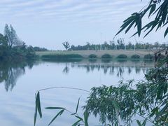 -艾溪湖湿地公园