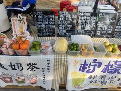 -东莞植物园