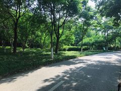 -尚贤河湿地