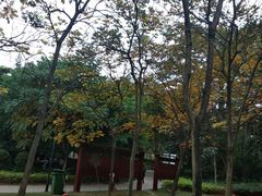 -金山公园