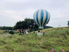 -大塘金香草谷