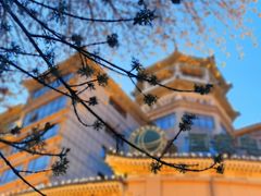 -和平门菜市场