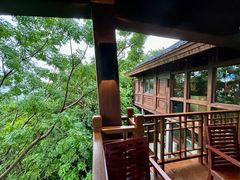 -三亚亚龙湾人间天堂鸟巢度假村