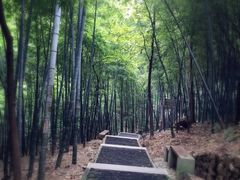 iphone_upload_pic-穹窿山景区