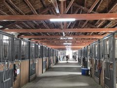 -北京群众马术培训基地