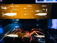 -同济大学四平路校区深海探索馆