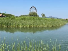 -苏州太湖湖滨国家湿地公园