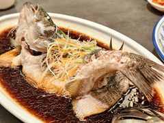 清蒸鲈鱼-芙蓉凰花园酒楼