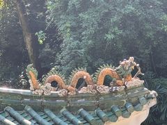 -云溪植物园