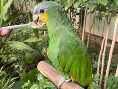 -南宫五洲植物乐园