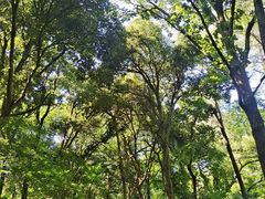-杭州植物园