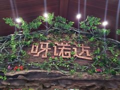 -呀诺达热带雨林