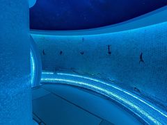 -青水瓦台汤泉(未央店)