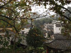 -塔川景区