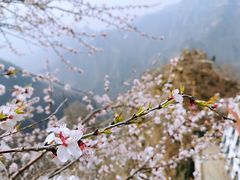 -圣莲山风景区