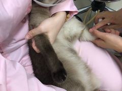 -宠颐生中康贝怡动物医院