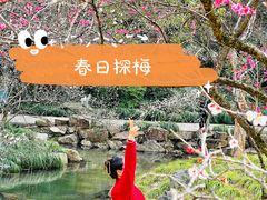-杭州植物园